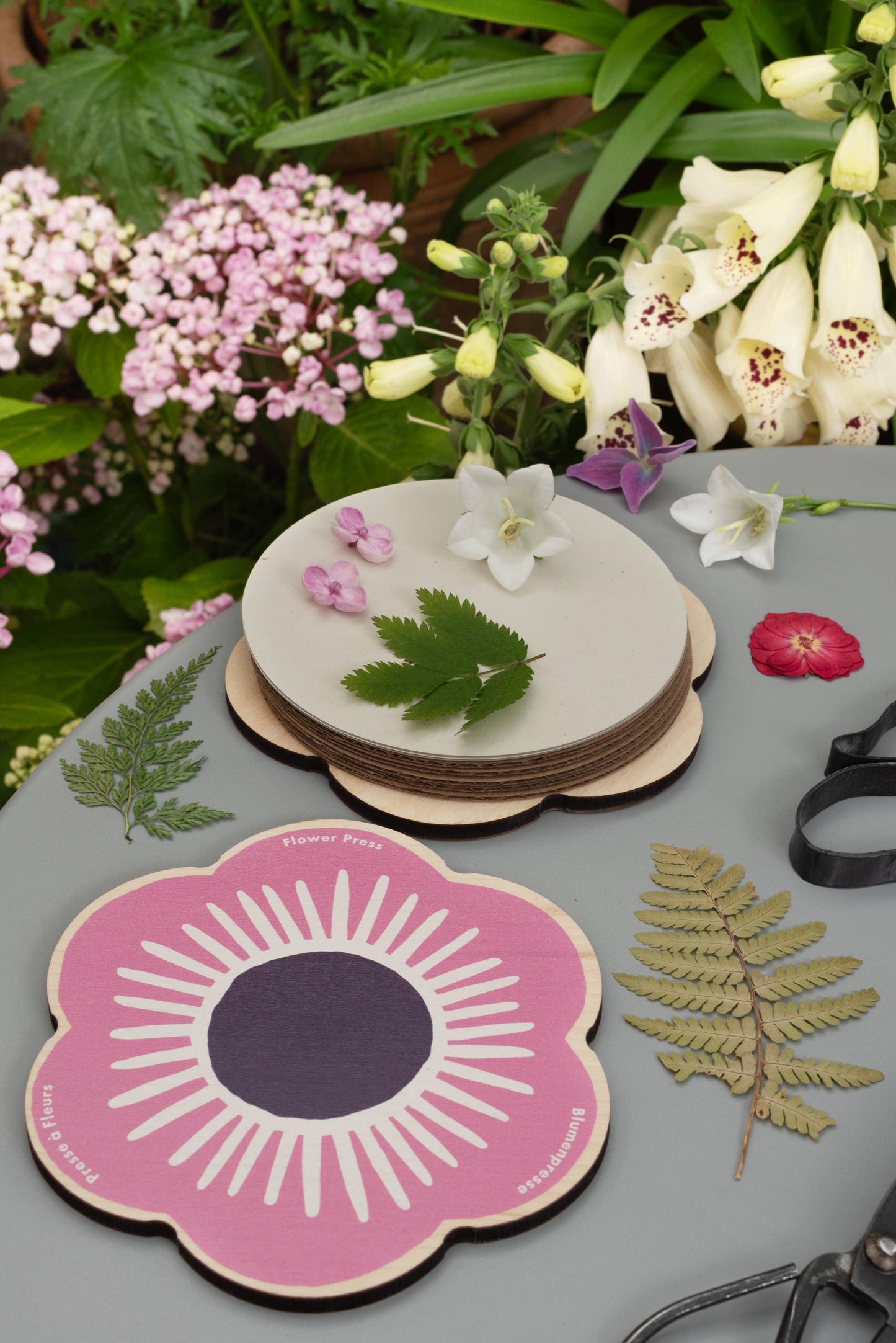 Presse in Blumenform, Rosa