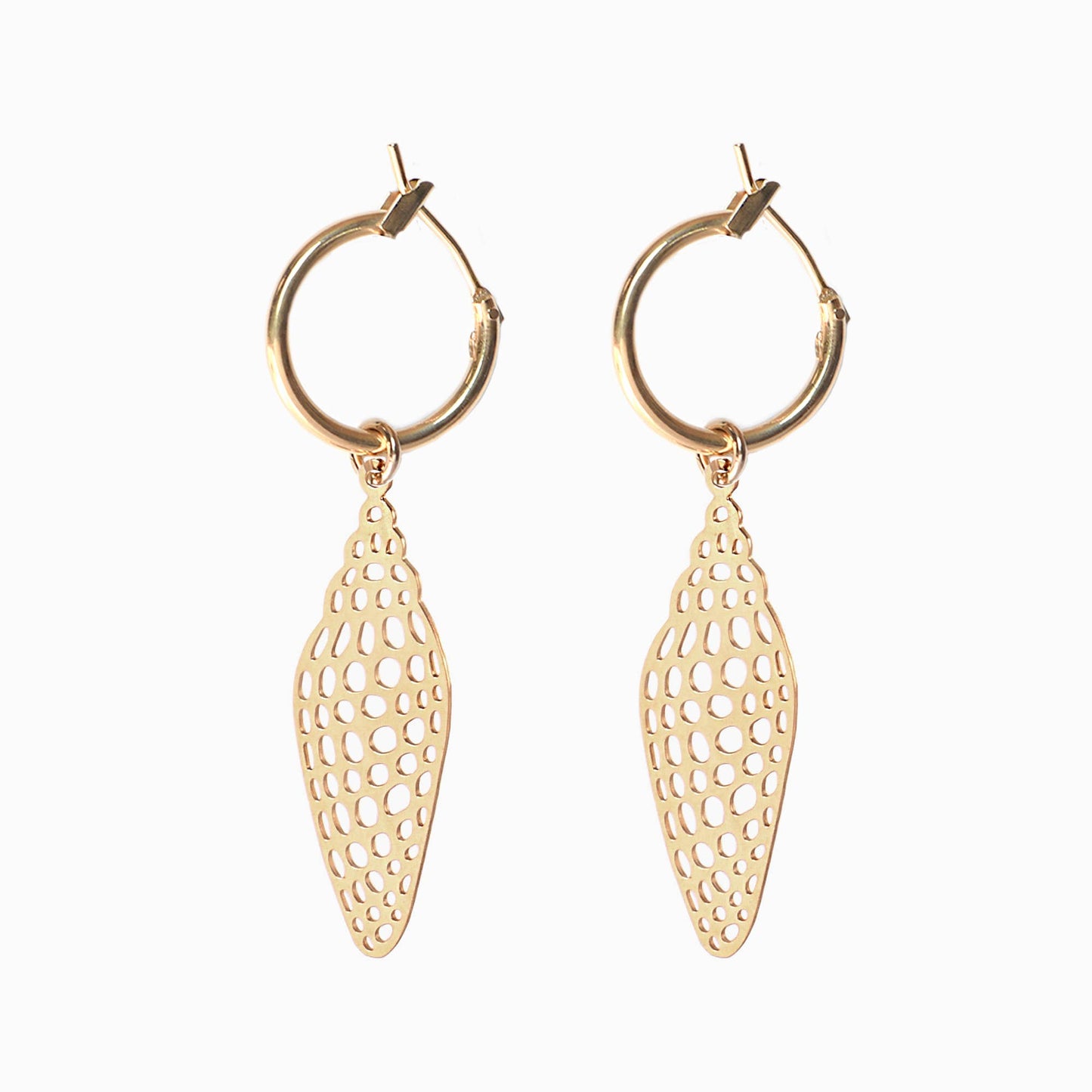 Titlee - Atlantische Muschelkreolen