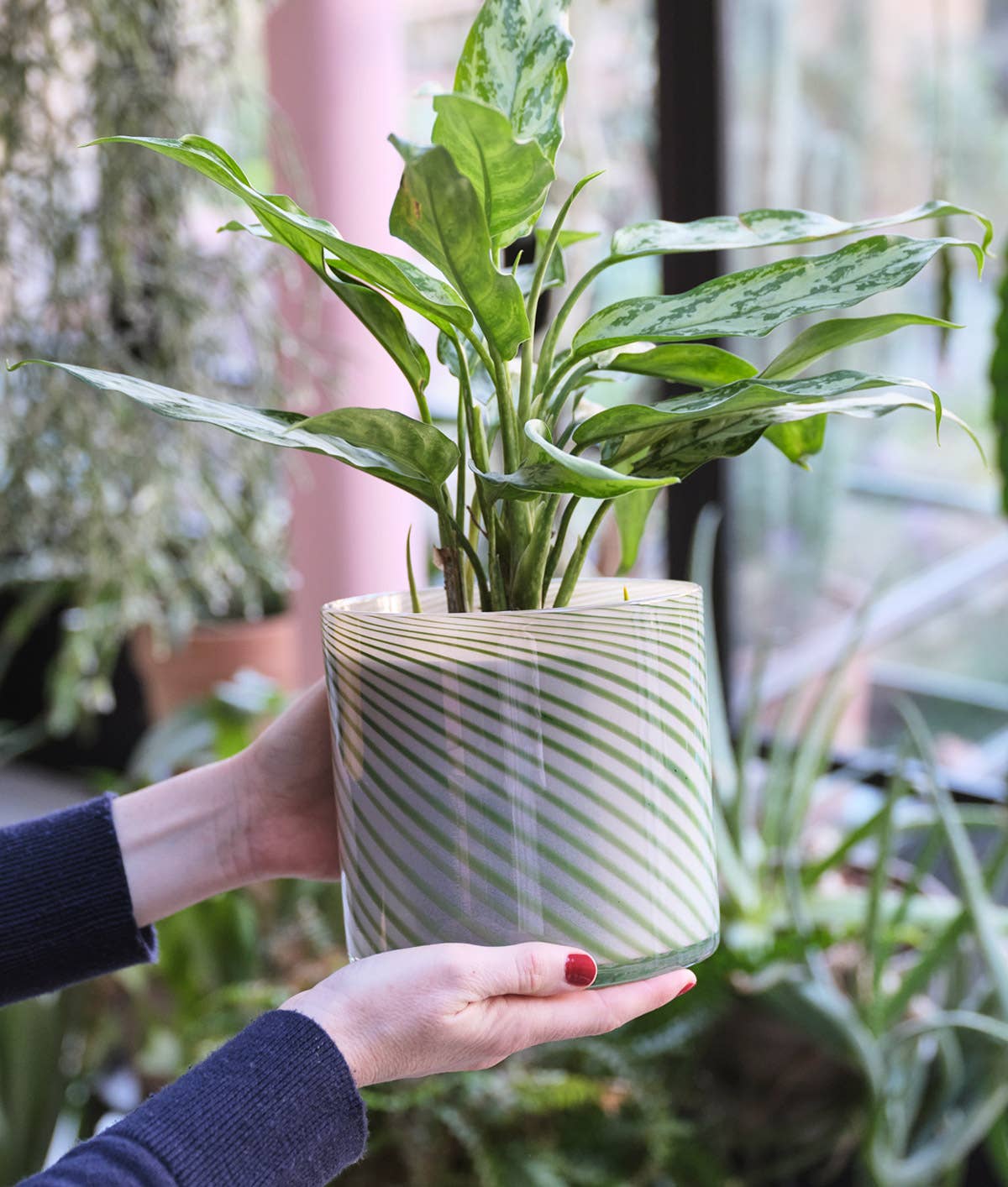 Wrap - Spiralförmiger Glas-Pflanzkübel - Grün