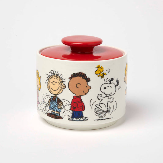 Peanuts Snoopy Keksdose