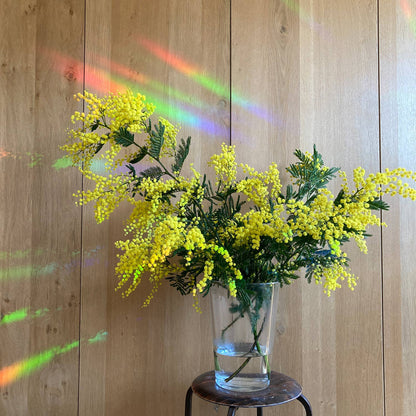 Regenbogen Aufkleber – kreiere überall Regenbögen