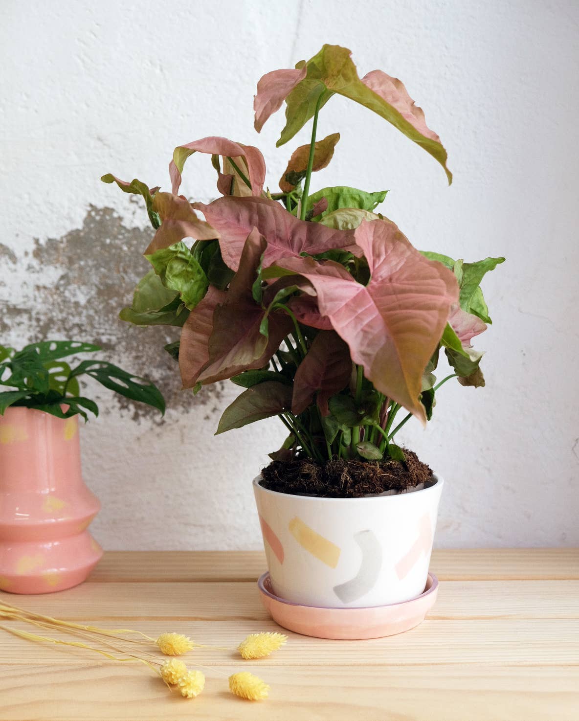 Temple Ceramic - Herbsttopf