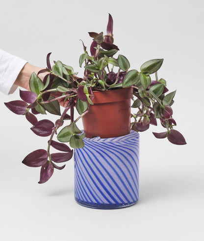 Wrap - Spiralförmiger Glasblumentopf - Blau