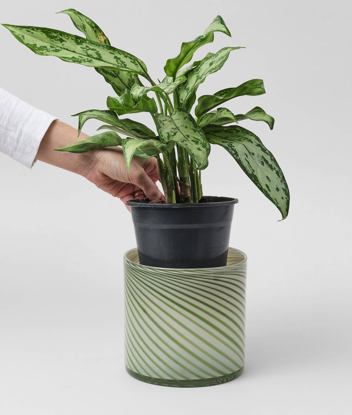 Wrap - Spiralförmiger Glas-Pflanzkübel - Grün