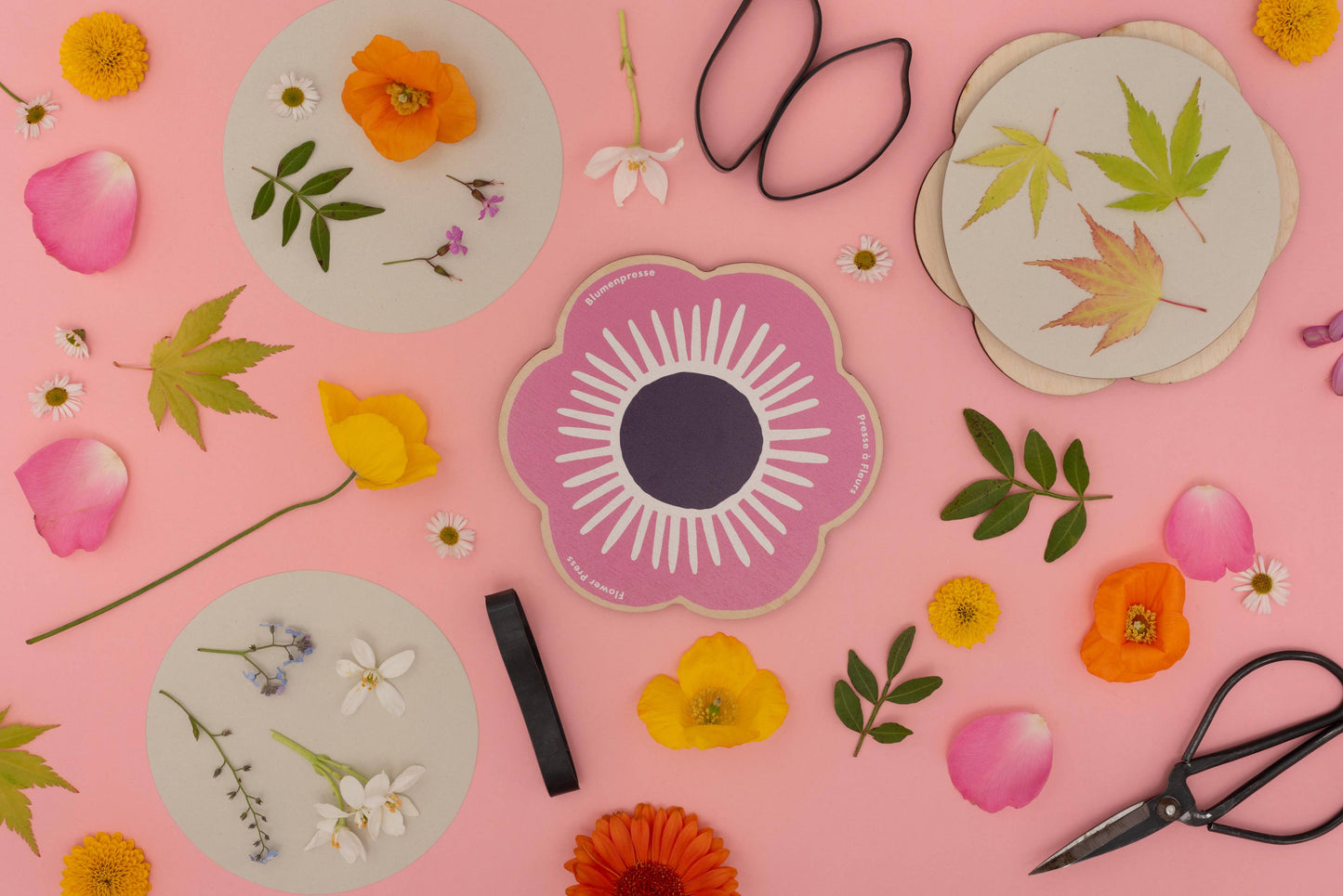 Presse in Blumenform, Rosa