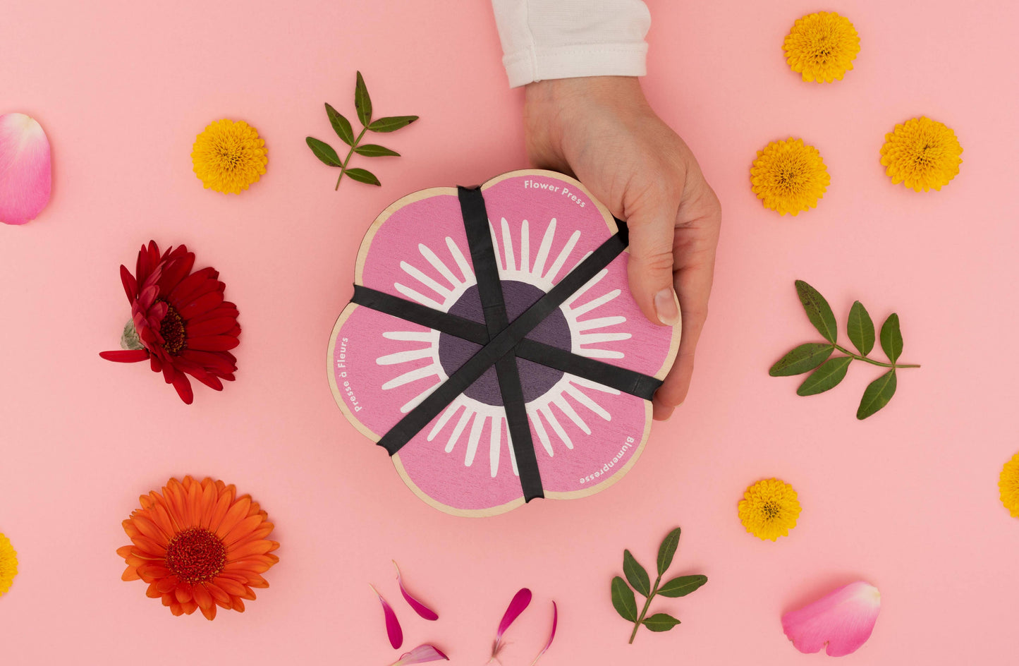 Presse in Blumenform, Rosa